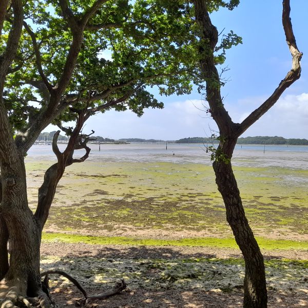 view out to channel at Cobnor Point